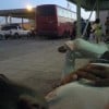 Tirbil (Tarbiel) border crossing into Jordan, Anbar