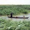 800px-Marsh_Arabs_in_a_mashoof