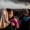 Iraqi refugees (UNHCR, Jan 2017)