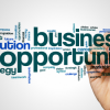 Business opportunity word cloud, from ibreakstock, Shutterstock