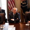 Donald Trump US cabinet meeting 090418 c