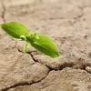 shutterstock_144767830 (bought by Elena Kornienko)