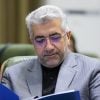 Iranian Minister of Energy Reza Ardekanian (Tasnim)