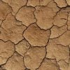 drought 2 (pixabay)