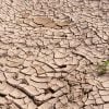 drought 3 (pixabay)