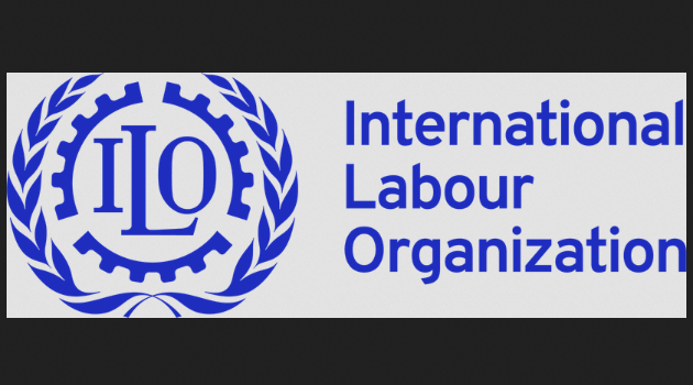 ILO Strengthens Employment Services in Iraqi Kurdistan & Ninewa