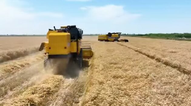 Iraq's Dreams of Wheat Independence "Dashed by Water Crisis"