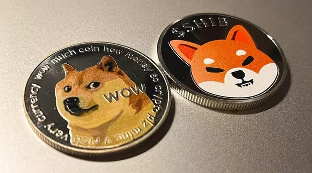 xDogecoin-Pixabay.jpg.pagespeed.ic.CnZLB0Ia9R.webp