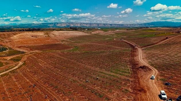 First Phase of Erbil Green Belt Project nears Completion